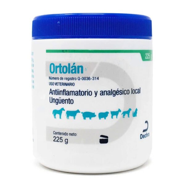 Ortolán