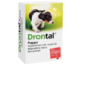 Drontal Puppy