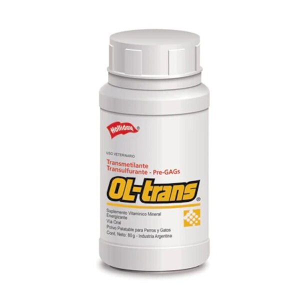 OlTrans - Image 2