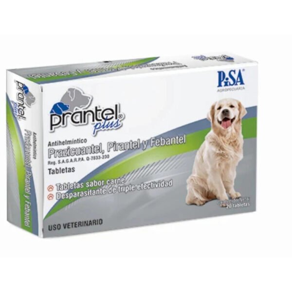 Prantel - Image 6