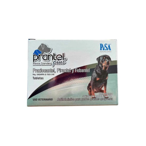 Prantel - Image 5