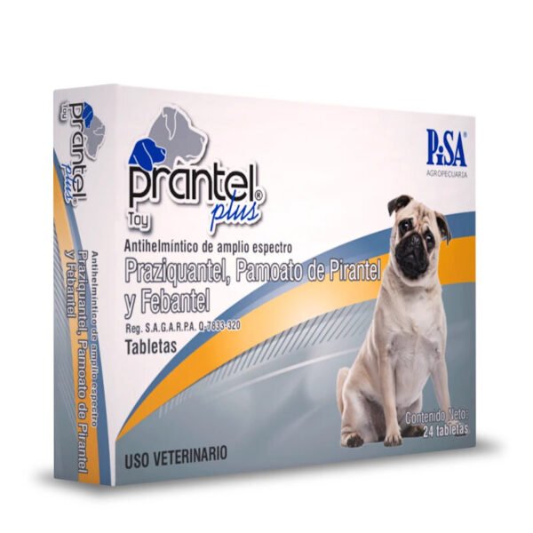 Prantel - Image 4