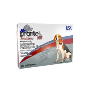 Prantel