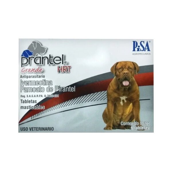 Prantel - Image 7