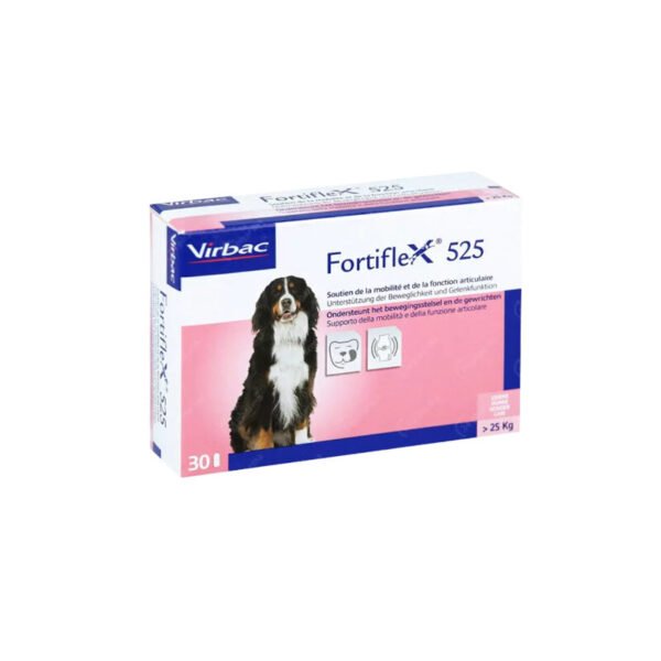 Chondroflex - Image 4