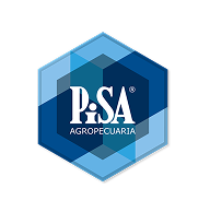 pisa