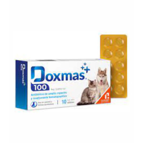 Doxmas