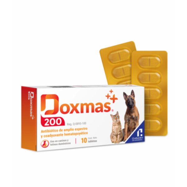 Doxmas - Image 2