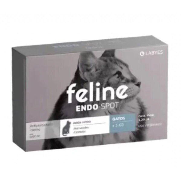 Feline Endo Spot