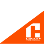 LOGO OFICIAL-01