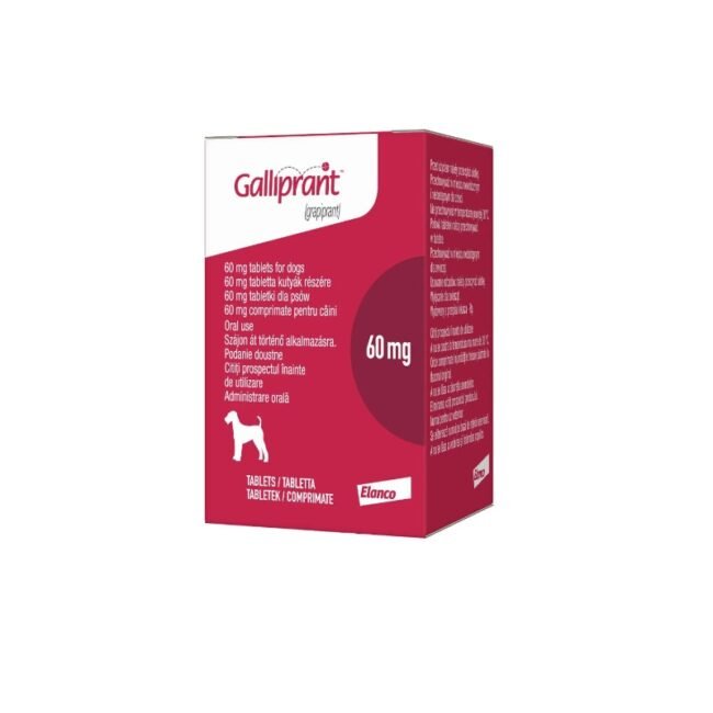 Galliprant 60 mg con 30 Tabletas para perros | EconoPet