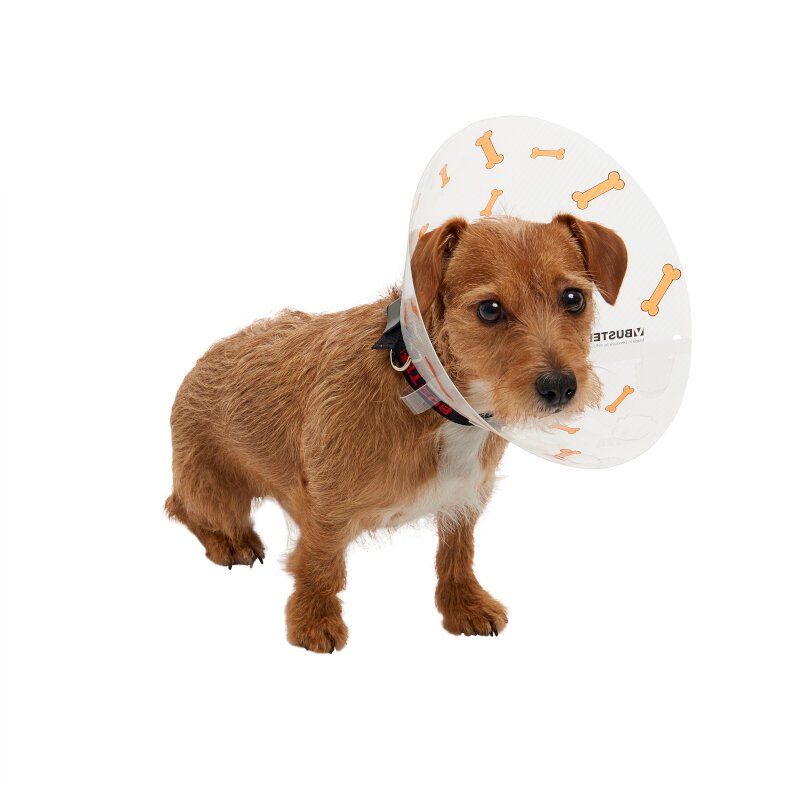 Collar Isabelino Huesitos - Image 4