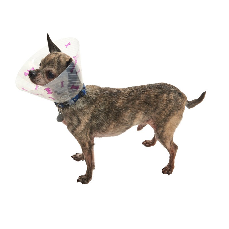 Collar Isabelino Huesitos - Image 3