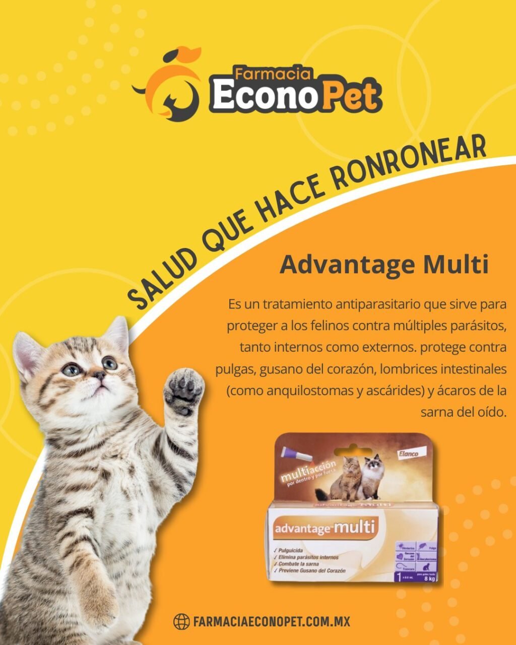 Instagram post from farmacia.econopet. This post is in position 1.