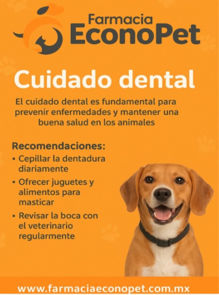 Instagram post from farmacia.econopet. This post is in position 4.