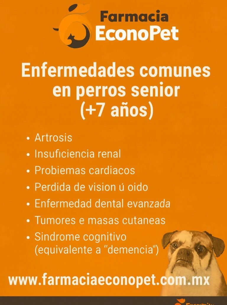 Instagram post from farmacia.econopet. This post is in position 3.